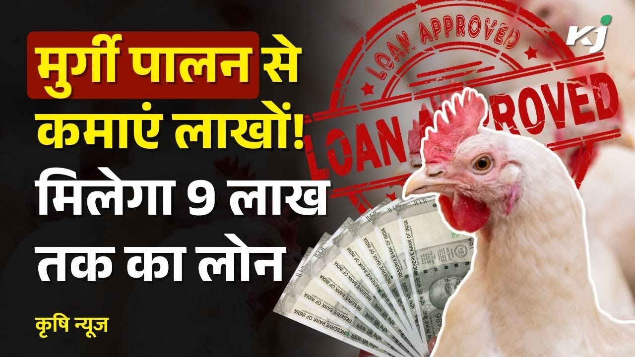 Poultry Farm Loan Yojana 2025 : पोल्ट्री फार्म खोलने के लिए ₹900000 तक का लोन और 33% सब्सिडी