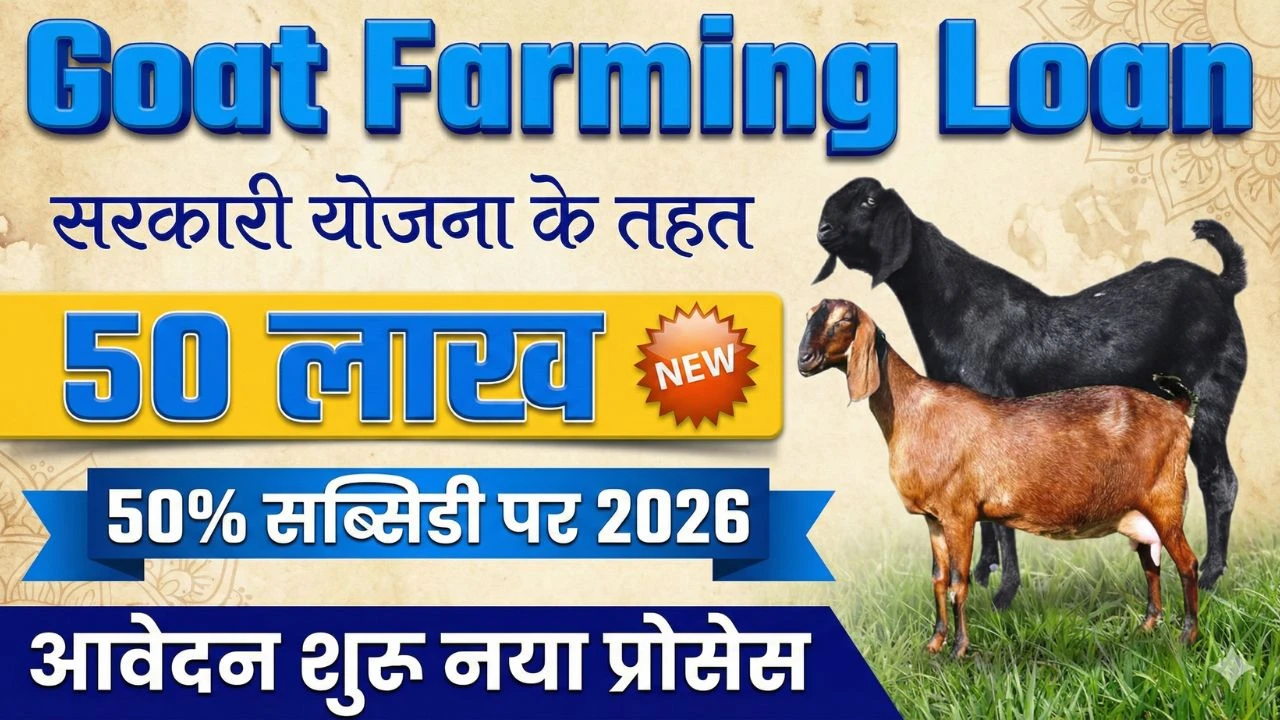 Bakri palan lone Yojana 2026: बकरी पालन के लिए सरकार दे रही है ₹500000 तक का लोन जिस पर आपको मिलेगा 50 परसेंट की सब्सिडी 